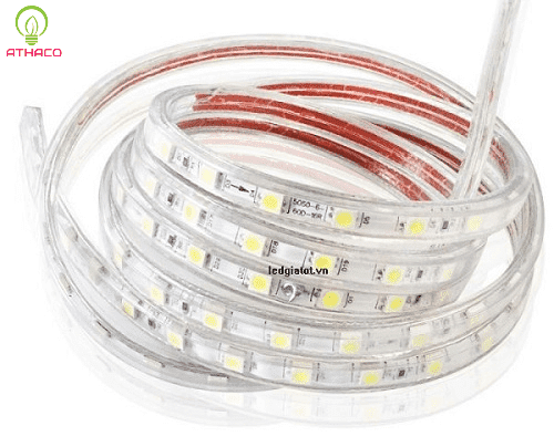 Công ty phân phối đèn led dây giá rẻ ở HCM 3 Công ty phân phối đèn led dây giá rẻ ở HCM