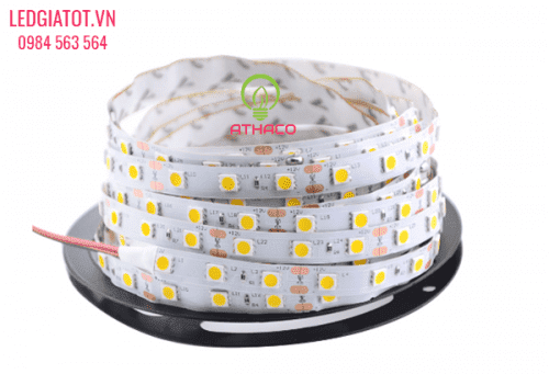 Địa chỉ bán đèn led dây ở quận Tân Bình uy tín giá tốt 4 Địa chỉ bán đèn led dây ở quận Tân Bình uy tín giá tốt