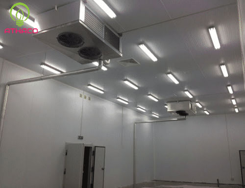 Đèn chống thấm cho kho lạnh 3 tiêu chí chọn đèn bạn nên biết 3 Đèn chống thấm cho kho lạnh 3 tiêu chí chọn đèn bạn nên biết